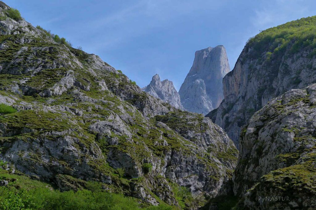 picos de europa