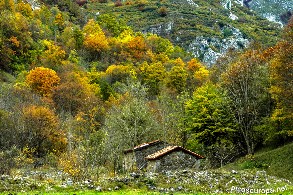 valle-valdeon-picos-europa