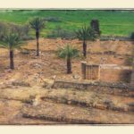 20160322_141729-EFFECTS-copy-0