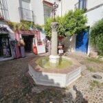 plaza calle las flores