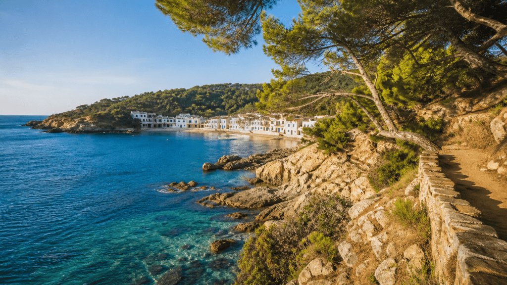 Cala rocosa de la Costa Brava con pinos y agua mediterránea