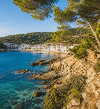 Cala rocosa de la Costa Brava con pinos y agua mediterránea
